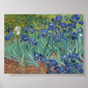 Affiche Irises par Van Gogh