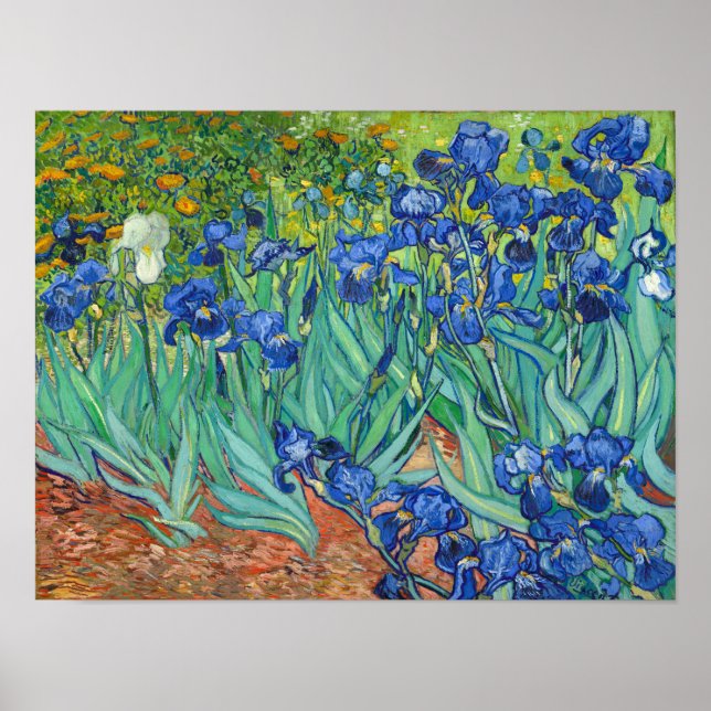 Affiche Irises par Van Gogh (Devant)