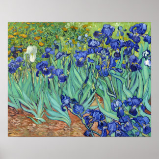 Affiche Irises par Vincent van gogh