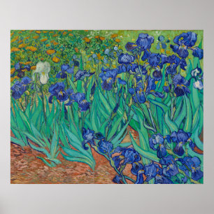 Affiche Irises par Vincent Van Gogh