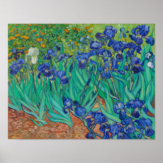 Affiche Irises par Vincent Van Gogh