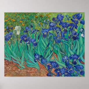 Affiche Irises par Vincent Van Gogh