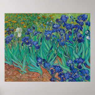 Affiche Irises par Vincent Van Gogh
