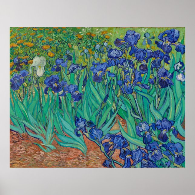 Affiche Irises par Vincent Van Gogh (Devant)