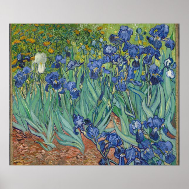 Affiche Irises par Vincent Van Gogh (Devant)
