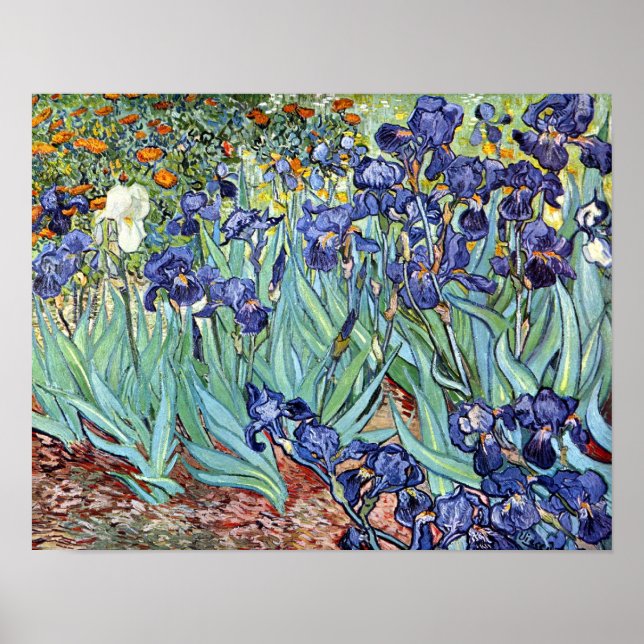 Affiche Irises par Vincent van Gogh 1898 (Devant)