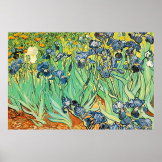 Affiche Irises - Van Gogh - c1889