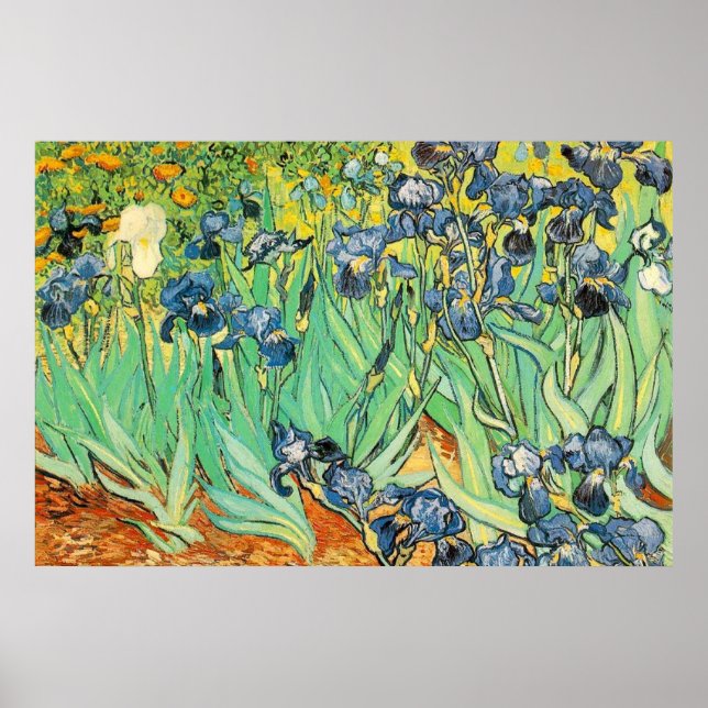 Affiche Irises - Van Gogh - c1889 (Devant)