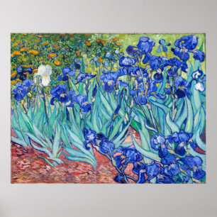 Affiche Irises  Vincent van Gogh
