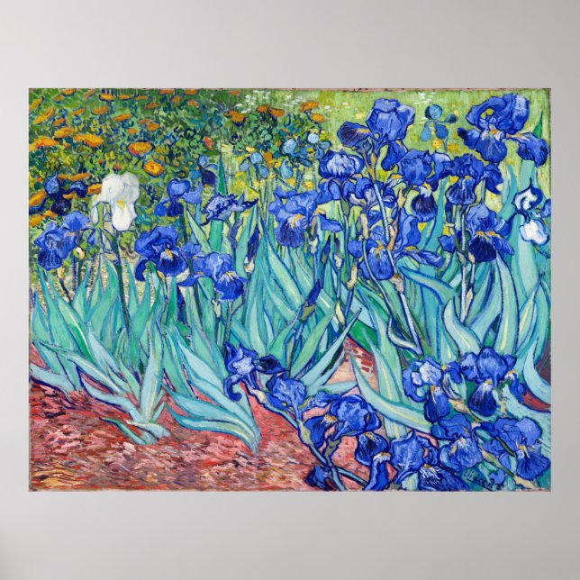 Affiche Irises  Vincent van Gogh (Devant)