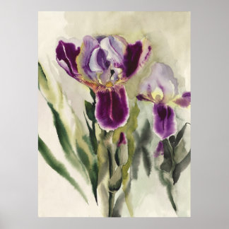Affiche Irises watercolor painting
