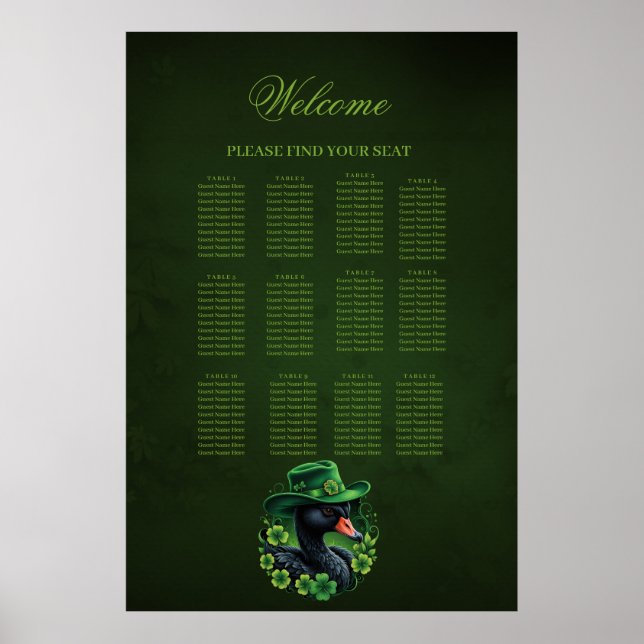 Affiche Irish Elegance, le cygne noir de St Patrick (Devant)