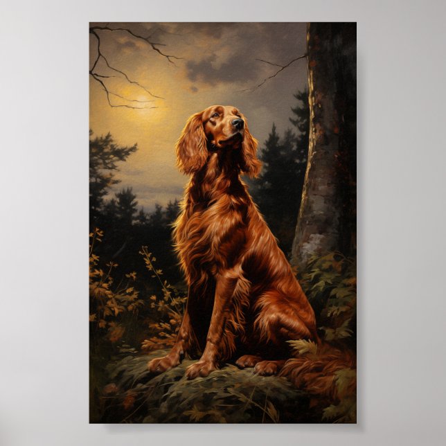 Affiche Irish Setter la nuit (Devant)