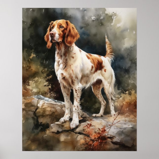 Affiche Irlandais Rouge et blanc Setter Chien Art Imprimer (Devant)