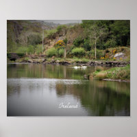 Irlande, Comté Cork, Lac, Cygnes, Photographie