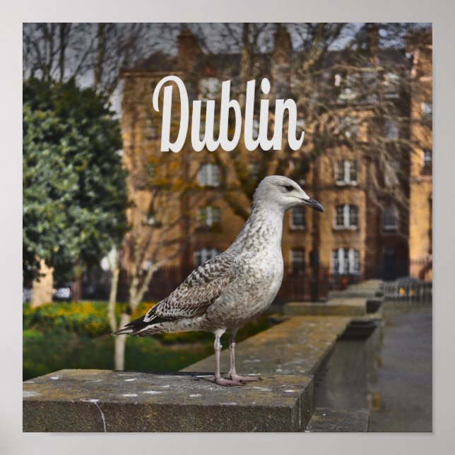 Affiche Irlande de Dublin Bird sur mur de briques (Devant)