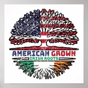 Affiche Irlande Irlande États-Unis États-Unis Arbre des Ét