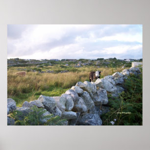 Affiche Irlande rurale