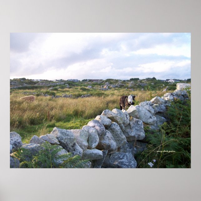 Affiche Irlande rurale (Devant)