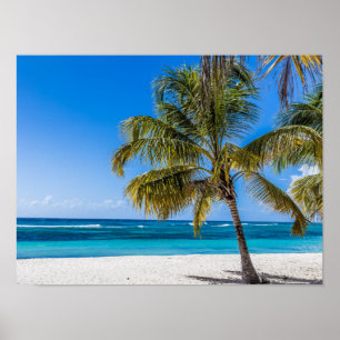 Affiche Isla Saona Beach cadeau République dominicaine