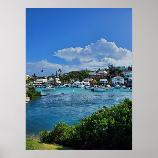 Affiche Island Life (Devant)