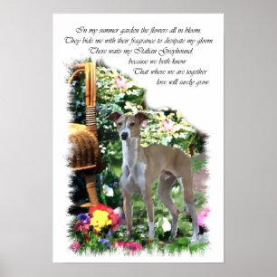 Affiche Italian Greyhound Art Print