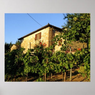 Affiche Italie, Toscane, Greve. Scènes de vin fin été