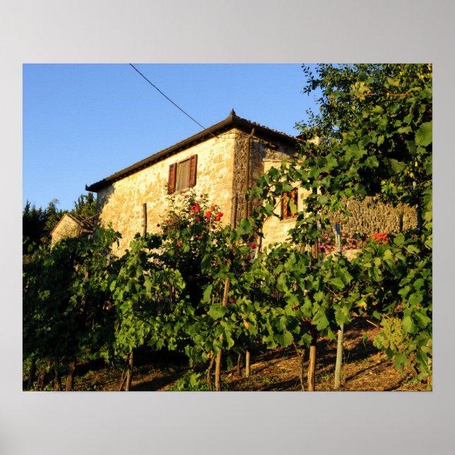 Affiche Italie, Toscane, Greve. Scènes de vin fin été (Devant)