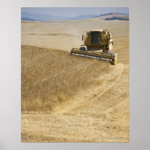 Affiche Italie. Toscane. Montalcino 4