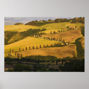 Affiche Italie, Toscane, route en zigzag en Toscane.