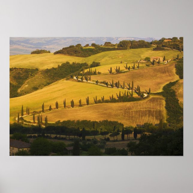 Affiche Italie, Toscane, route en zigzag en Toscane. (Devant)