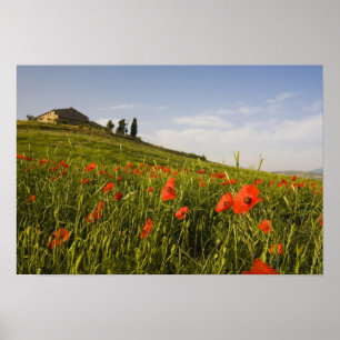 Affiche Italie, Toscane, Villa toscane au printemps avec