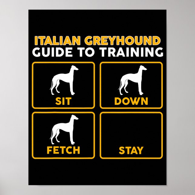 Affiche italien greyhound drôle guide d'entraînement (Devant)