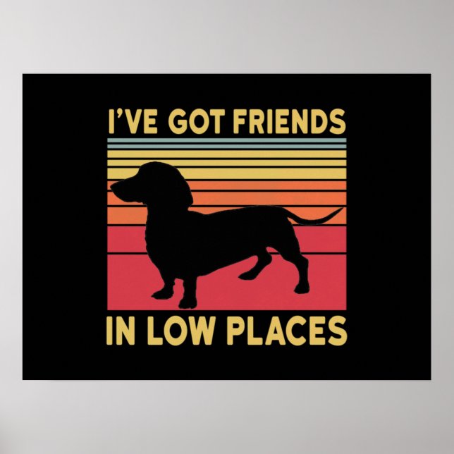 Affiche Ive got friends in low places (Devant)