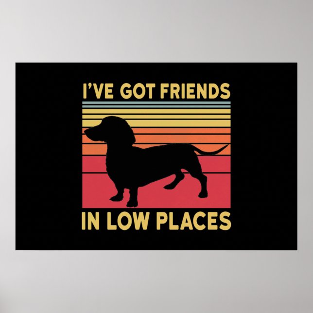Affiche Ive got friends in low places (Devant)
