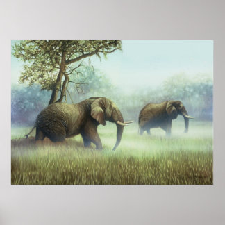 Affiche Ivoire Mist