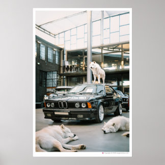 Affiche Ivory Wolf Chroma | Wolfs et une voiture