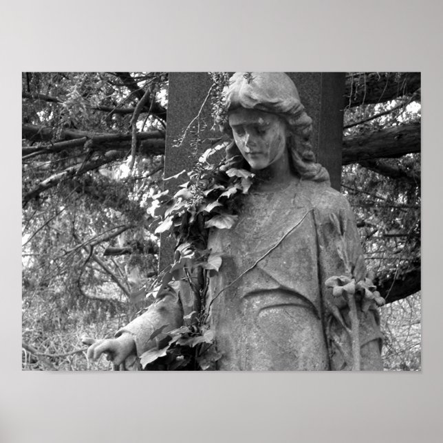 Affiche Ivy (Devant)