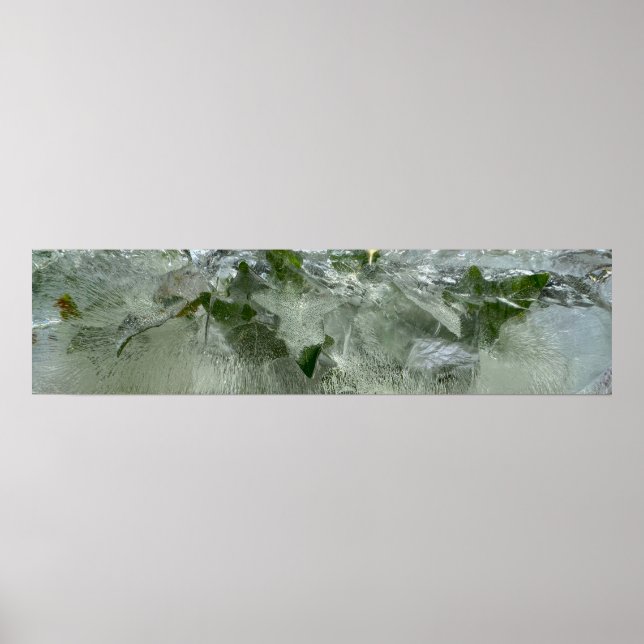 Affiche Ivy glacé, (Devant)