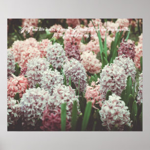 Affiche Jacinthe rose et violette dans le jardin printanie