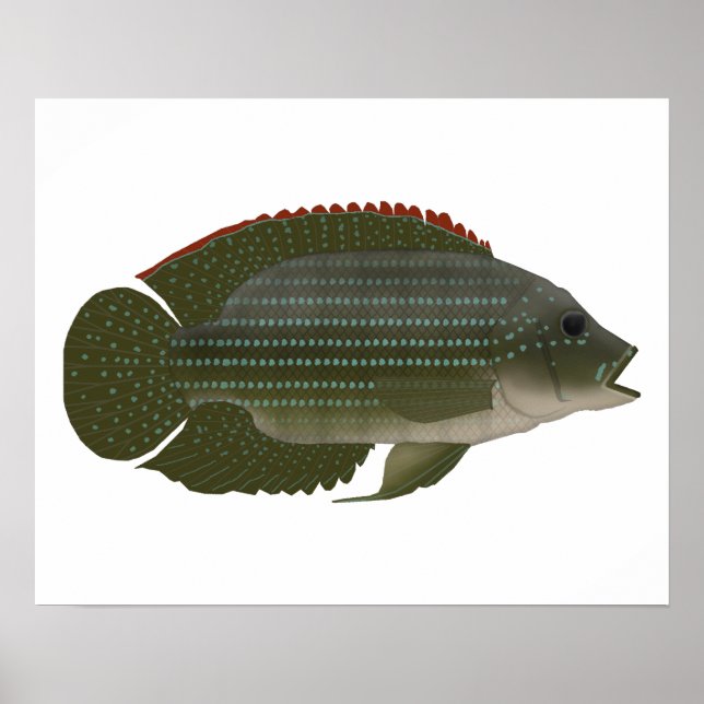 Affiche Jack Dempsey (Devant)