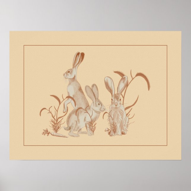 Affiche Jack Rabbit et ses amis (Devant)