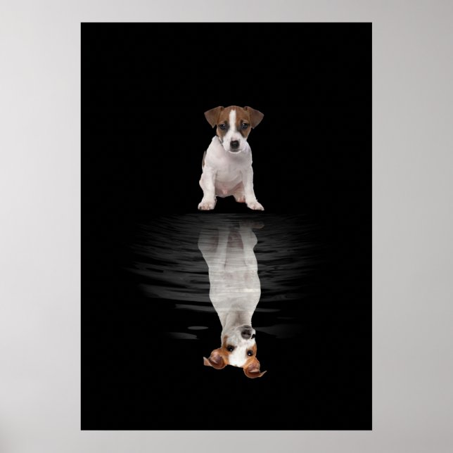 Affiche Jack Russell Aimer Cute Jack Russell (Devant)