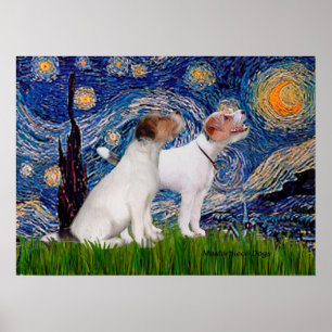 Affiche Jack Russell Pair 4 - Nuit étoilée