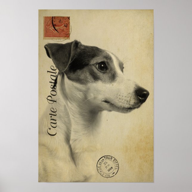 Affiche Jack Russell Vintage Postcard (Devant)