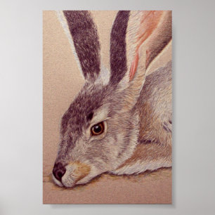 Affiche Jacklapin