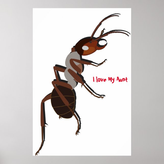 Affiche J'adore l'affiche de ma tante (Devant)