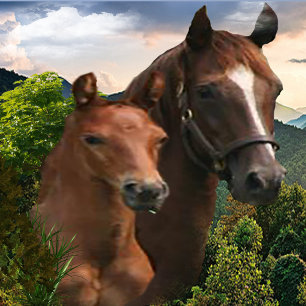 Affiche J'adore les chevaux