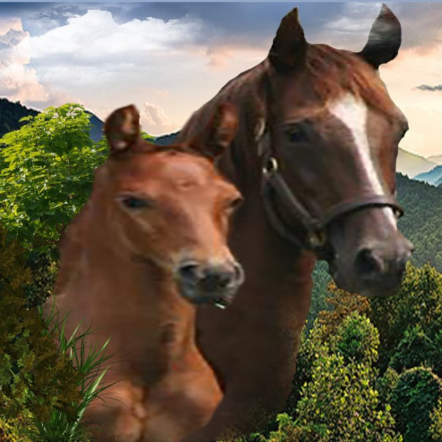 Affiche J'adore les chevaux (Créateur téléchargé)