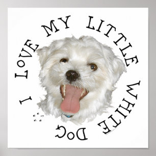 Affiche J'adore mon petit chien blanc maltais